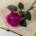 Цветы искусственные "Роза венесуэльская" 8х23 см, фиолетовый - фото 320137619