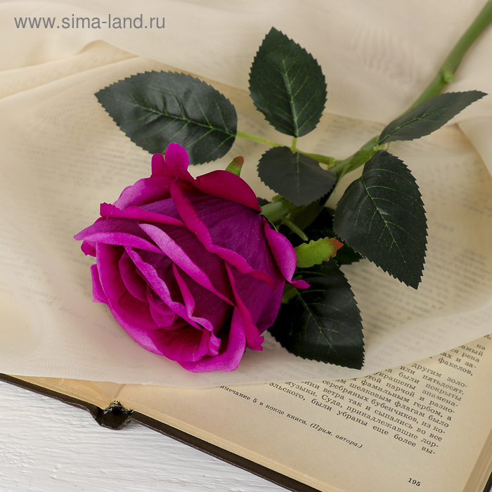 Цветы искусственные "Роза венесуэльская" 8х23 см, фиолетовый - Фото 1