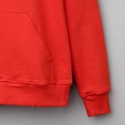Толстовка унисекс с капюшоном, цвет красный, размер XXL (52-54) - Фото 3