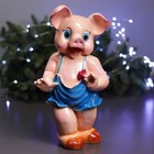 Копилка "Хрюша с цветком" 12х19х38см - Фото 5