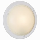 Светильник RIGA 1x100Вт E27 белый, прозрачный - Фото 1