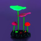 Флуоресцентная аквариумная декорация Gloxy, 2 гриба и 2 листа лотоса, 7,3х3,5х10,7 см - Фото 2