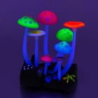 Флуоресцентная аквариумная декорация Gloxy, грибы, тип Н, 11х8х12 см - Фото 2