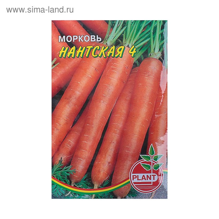 Семена Морковь "Нантская", 1 г - Фото 1
