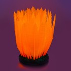 Флуоресцентная аквариумная декорация Gloxy, морская лилия оранжевая, 10х7,5х11 см - Фото 2