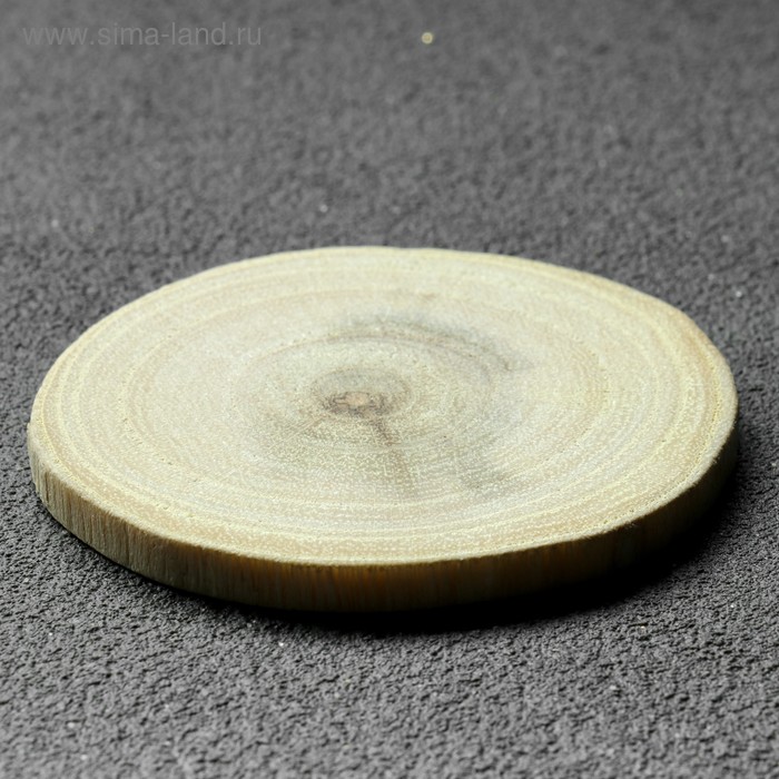 Спил дерева "Акации", круглый, d=4-7 см, h=5 мм - Фото 1