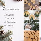 Спил дерева «Акации», круглый, d=4-7 см, h=5 мм (комплект 50 шт) - фото 27405951