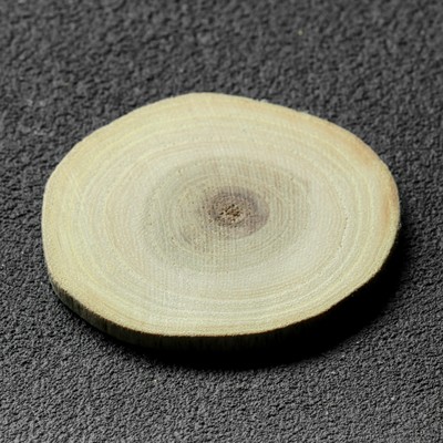 Спил дерева "Акации", круглый, d=4-7 см, h=3,5 мм