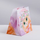 Пакет ламинированный квадратный «Кто тут такой милый?», 22 × 22 × 11 см - Фото 2