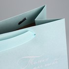 Пакет подарочный крафтовый квадратный, упаковка, «Нежные чувства», 22 х 22 х 11 см - Фото 5