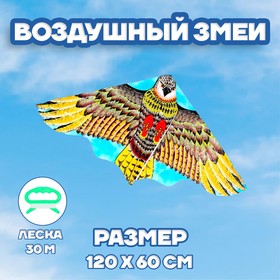 Воздушный змей «Орёл» 3925359