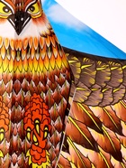 Воздушный змей «Орёл», с леской - фото 9519312