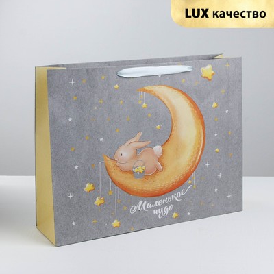 Пакет крафтовый горизонтальный «Маленькому чуду», MS 23 × 18 × 10 см