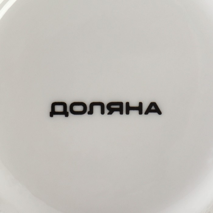 Чайник фарфоровый заварочный Доляна «Бланко», 800 мл, цвет белый - фото 1906976018