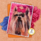 Живопись шерстью «Йорк», А5 - Фото 1