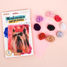 Живопись шерстью «Йорк», А5 - Фото 2