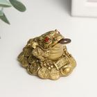 Нэцкэ фигурка полистоун под бронзу «Жаба с монетой», 4.5×4.5×4 см - Фото 2