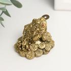 Нэцкэ фигурка полистоун под бронзу «Жаба с монетой», 4.5×4.5×4 см - Фото 3