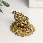 Нэцкэ фигурка полистоун под бронзу «Жаба с монетой», 4.5×4.5×4 см - Фото 4