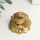 Нэцкэ фигурка полистоун под бронзу «Жаба с монетой», 4.5×4.5×4 см - Фото 5