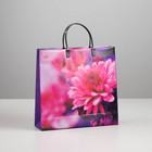 Пакет "Хризантемы", мягкий пластик, 30 х 9 х 30 см, 140 мкм - Фото 1