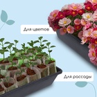 Ящик для рассады, 40×20×10 см, 4 л, пластик, МИКС - Фото 4