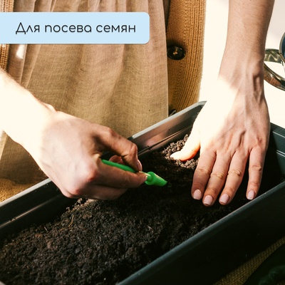 Ящик для рассады, 45 × 20 × 10 см, с ручками, 6 л, пластик, чёрный