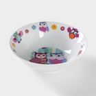 Набор детской посуды из керамики Доляна «Совушки», 3 предмета: кружка 230 мл, миска 400 мл, тарелка d=18 см, цвет белый - фото 4264196