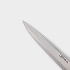 Нож кухонный Доляна «Кронос», лезвие 20 см, цвет чёрный - Фото 3