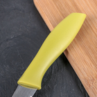 Нож кухонный для цитрусовых Доляна «Ария», зубчатое лезвие 12 см, цвет МИКС - Фото 4