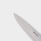 Нож кухонный Доляна «Кронос», лезвие 20 см, цвет чёрный - Фото 3