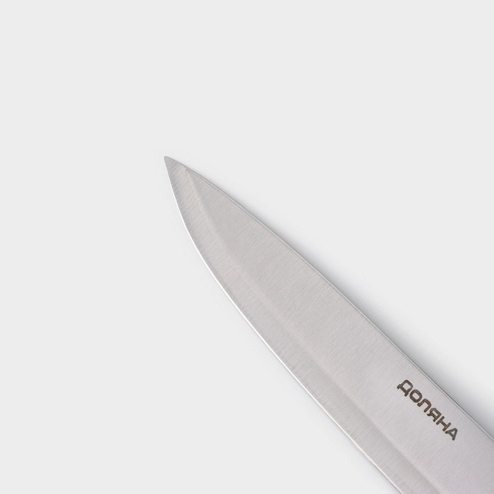 Нож кухонный Доляна «Кронос», лезвие 20 см, цвет чёрный - фото 1908434436