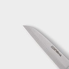 Нож для овощей Доляна «Кронос», лезвие 9 см, цвет чёрный - фото 4264280