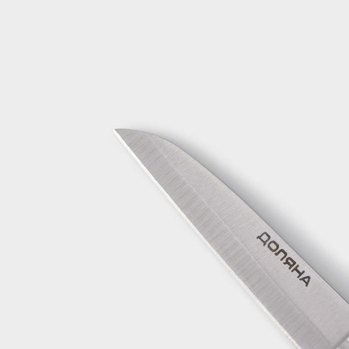 Нож для овощей Доляна «Кронос», лезвие 9 см, цвет чёрный - фото 1908434446