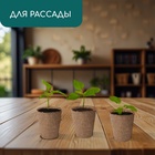 Горшок для рассады, 100 мл, d=6 см, h=6.5 см, торф, Greengo - Фото 3