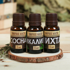 Набор 3 эфирных масла 15 мл «Хозяину бани» пихта, сосна, эвкалипт - Фото 2