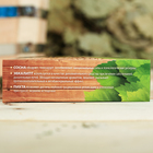 Набор 3 эфирных масла 15 мл «Хозяину бани» пихта, сосна, эвкалипт - Фото 5