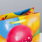 Пакет подарочный ламинированный вертикальный, упаковка, «В твой День Рождения», S 12 х 15 х 5.5 см - Фото 4