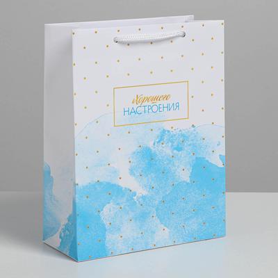 Пакет подарочный ламинированный вертикальный, упаковка, «Краски неба», MS 18 х 23 х 10 см
