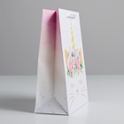 Пакет подарочный ламинированный вертикальный, упаковка, «Мур», MS 18 х 23 х 10 см (комплект 2 шт) - фото 26806472