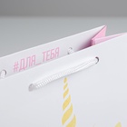 Пакет подарочный ламинированный вертикальный, упаковка, «Мур», MS 18 х 23 х 10 см (комплект 2 шт) - фото 26806473