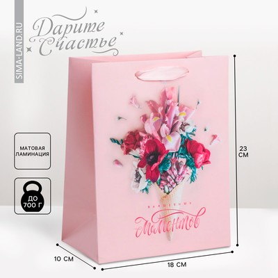 Пакет подарочный ламинированный, упаковка, «Волшебных моментов», MS 18 х 23 х 10 см