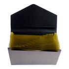 Папка-кратотека 12 отделений, А4, на резинке, deVENTE My gold, 700 мкм 4134273 - фото 16508538