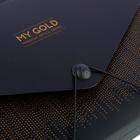 Папка-кратотека 12 отделений, А4, на резинке, deVENTE My gold, 700 мкм 4134273 - фото 16508539
