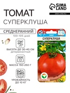 Семена Томат «Суперклуша», среднеранний, детерминантный, низкорослый, 20 шт., «Сибирский сад» - Фото 1
