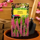 Семена цветов Вероника "Розовая", ц/п, длиннолистная, 0,05 г - Фото 3