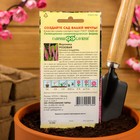 Семена цветов Вероника "Розовая", ц/п, длиннолистная, 0,05 г - Фото 4