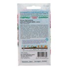 Семена цветов Флокс Друммонда "Ярмарочный микс" махровый, О, ц/п, 0,03 г - Фото 2