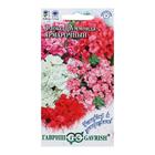 Семена цветов Флокс Друммонда "Ярмарочный микс" махровый, О, ц/п, 0,03 г - Фото 3