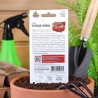 Семена Томат «Чёрный принц», среднеспелый, детерминантный, среднерослый, 0.05 г, «Удачные семена» - Фото 6